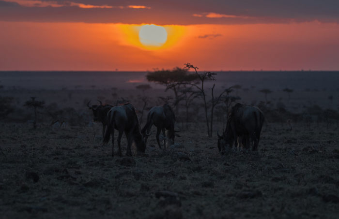 BK8I9775 - ARTICLE.jpg